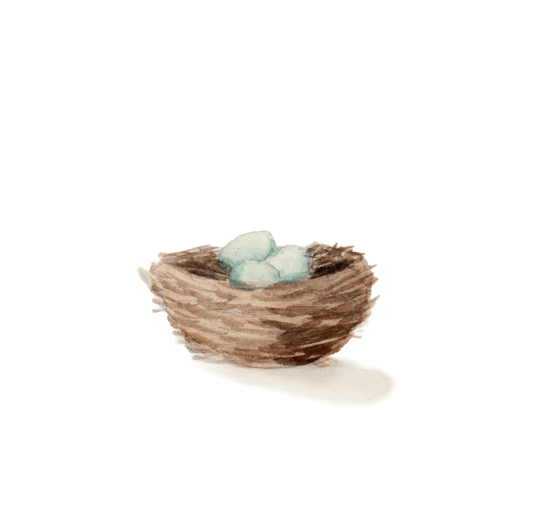 nest-artwork