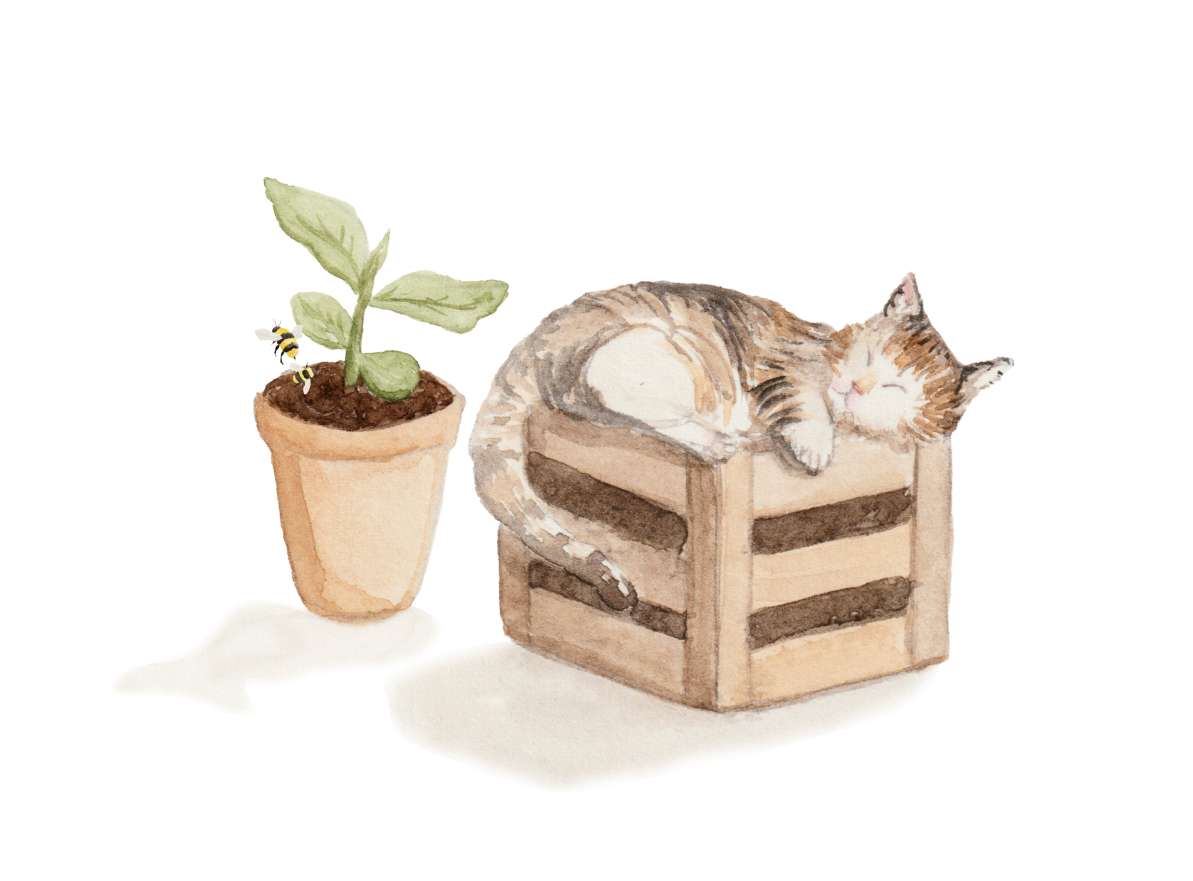 cat-artwork